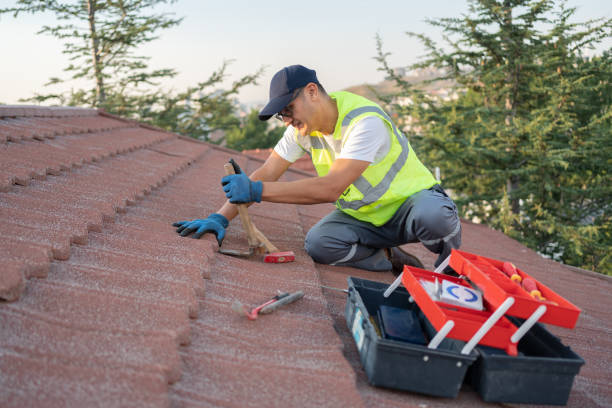 Professional Roofing Contractor in Ruskin, FL